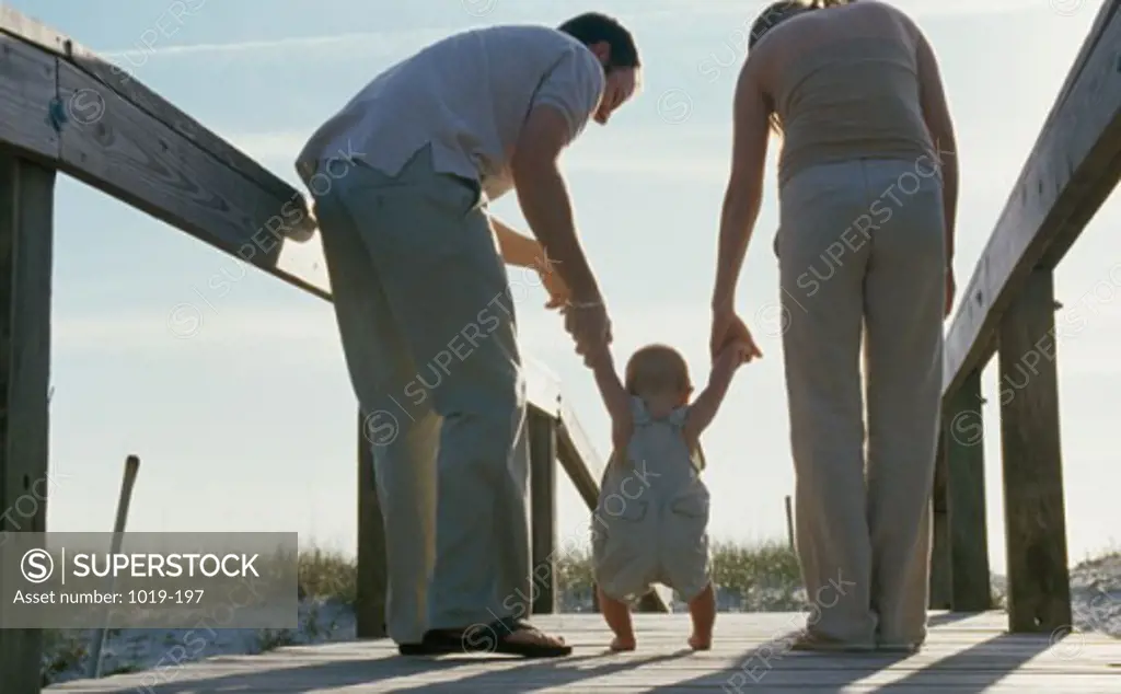 Rear view of a young couple helping their son to walk