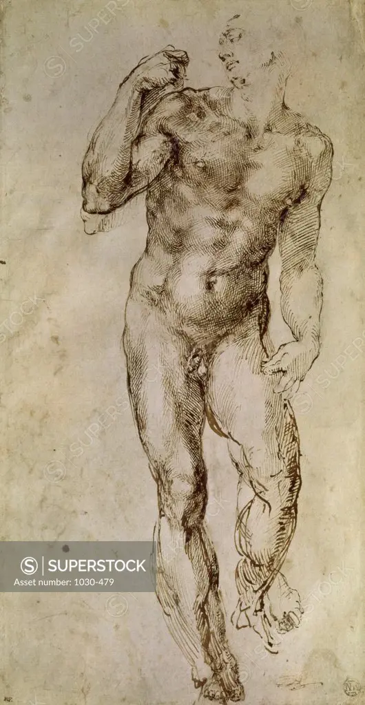 Study of a Male Nude Standing Michelangelo Buonarroti (1475-1564/Florentine) Musee du Louvre, Paris, France 