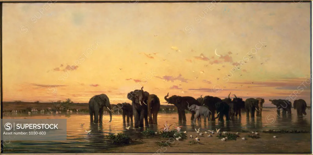 African Elephants Charles Emile de Tournemine (1812-1872 French) Musee d' Orsay, Paris, France 