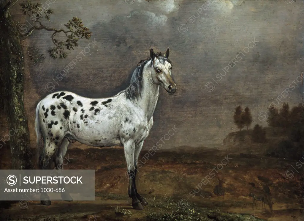 The Piebald Horse  (Le cheval pie)  1653  Paulus Potter (1625-1654/Dutch)  Oil on canvas Musee du Louvre, Paris  
