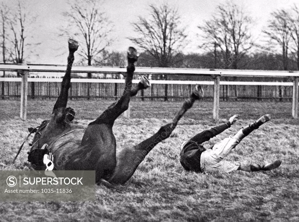 Gatwick, England:  February 13, 1937. Both horse and rider find themselves in similar positions after a spill in the Brook Steeplechase.
