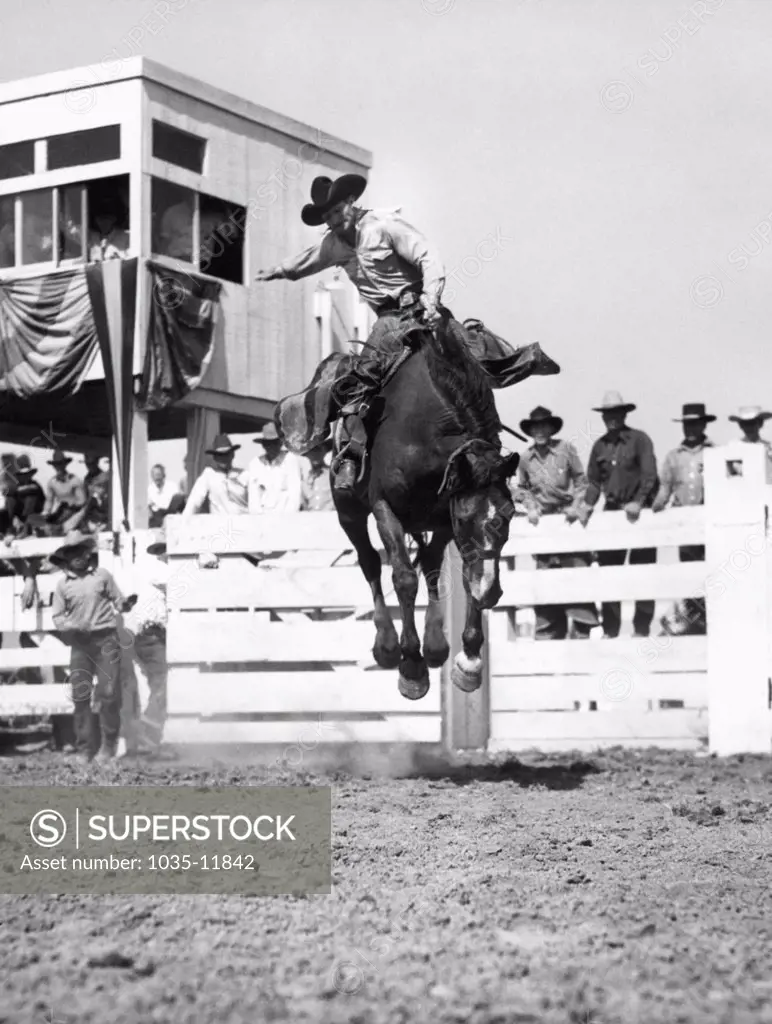 United States:  July, 1935. A cowboy doing his best to stay on a bucking bronco at a local rodeo.