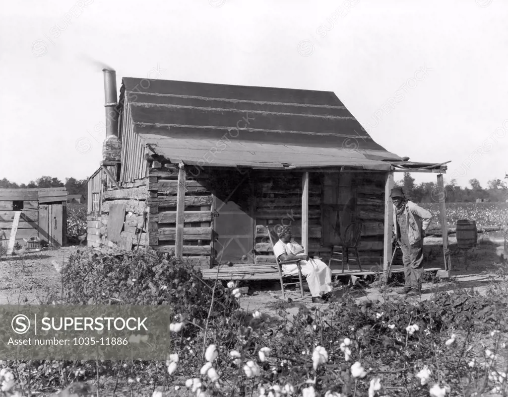 United States: c. 1895. An old African American man and his wife at their cabin surrounded by cotton fields. They were formerly slaves.