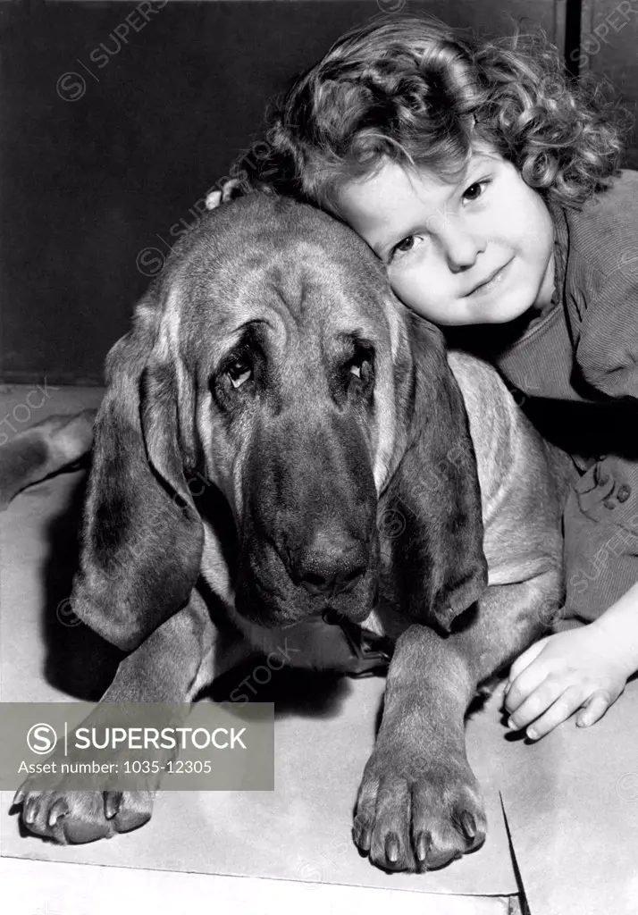 New York, New York:  1947. A little girl gives a hug to Ramapo, a bloodhound entered in the annual Westminster Kennel Club Dog Show  at Madison Square Garden.