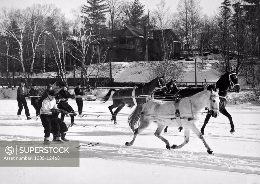 Lake Placid, New York:  December 26, 1936 Skijoring in the Adirondacks. On frozen Mirror Lake, a group of skiers holds tight as horses pull them along.
