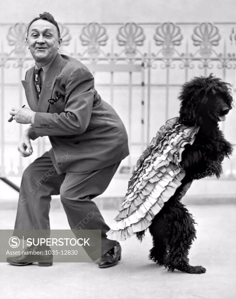 Hollywood, California: 1944. A Samba stepping black poodle by the name of 'Countess' is entertaining folks at the Music Box Theatre on Hollywood Blvd.