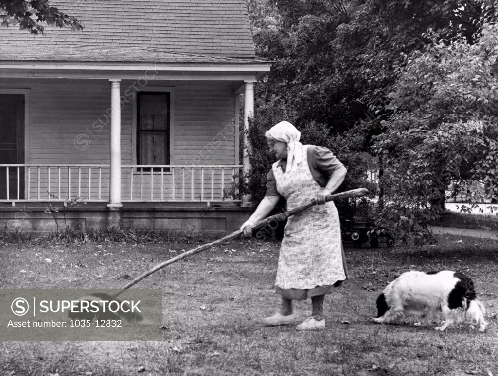 Boyne City, Michigan:  October 10, 1955 Fannie McCleary uses a long pole to nudge a pregnant skunk out of her backyard. She gently nudged it ten blocks into a wooded lake area to await for the blessed event.