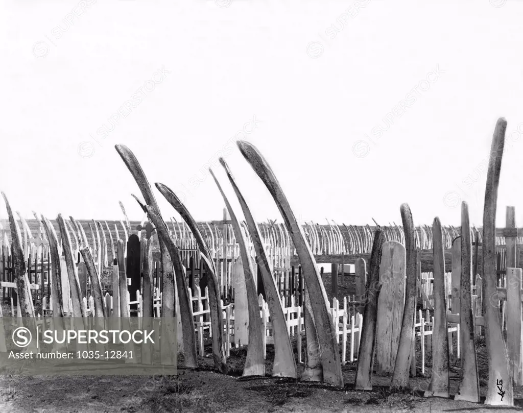 Alaska:  c. 1920 A whale bone fence around the local native burial ground.