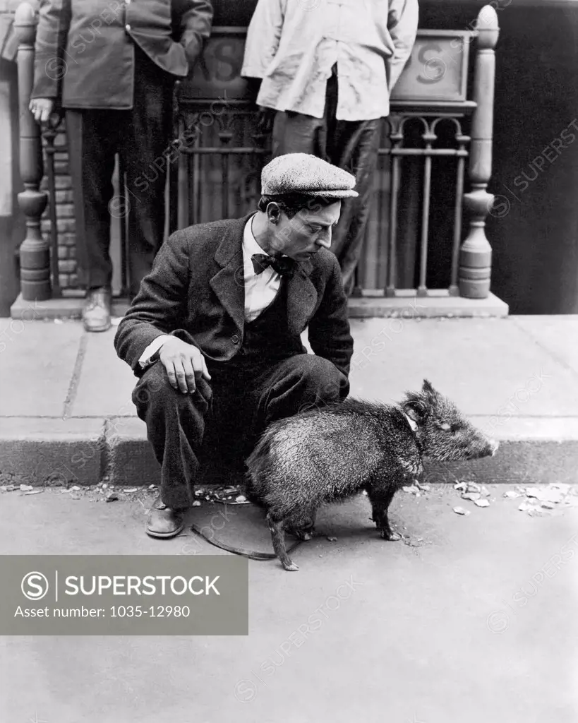 Hollywood, California:  c. 1928 Buster Keaton sitting on a curb with a peccary duriing the filming of 'The Camerman', in 1928.