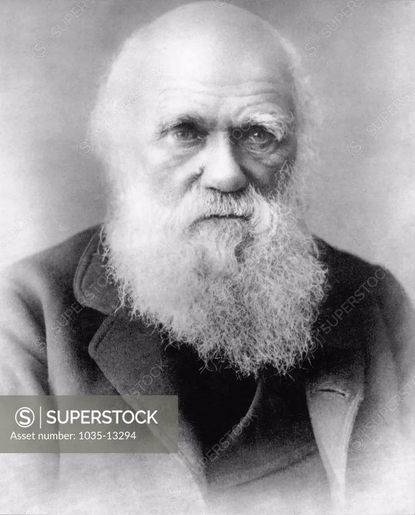 England:  c. 1875 Portrait of British scientist and naturalist Charles Darwin.