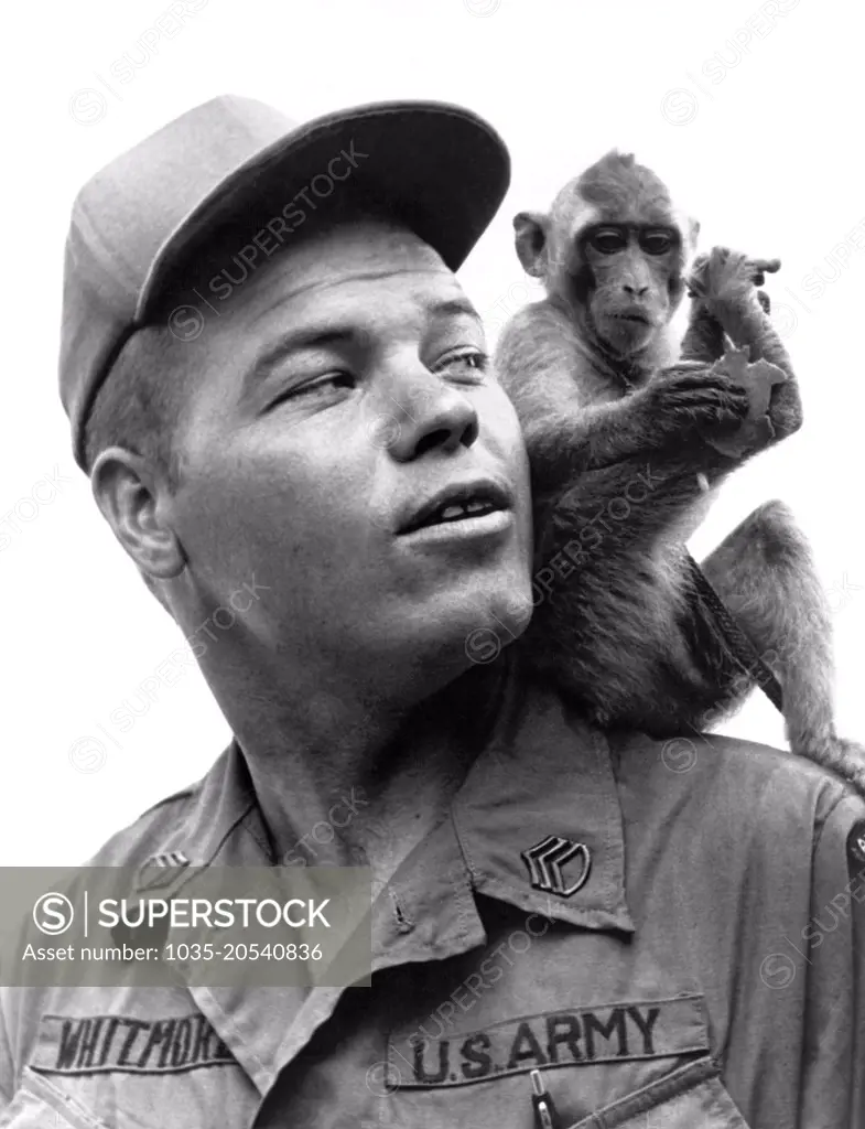 Vietnam:   May, 1968 A S/Sgt of the 101st Airborne Division warns his unit's mascot, Charlie, about any monkey business.