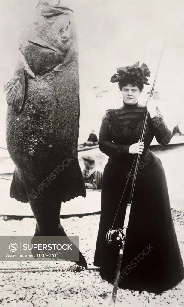 Black sea bass  1901  