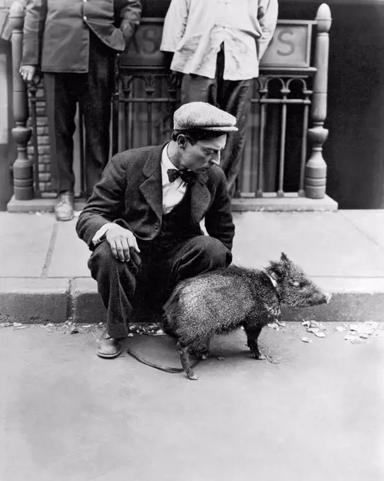 Hollywood, California:  c. 1928 Buster Keaton sitting on a curb with a peccary duriing the filming of 'The Camerman', in 1928.