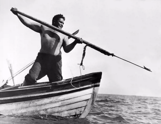 New Zealand:  January, 1936 A Maori tribesman member of a whale hunting crew stands at the boat bow ready with a hand held harpoon
