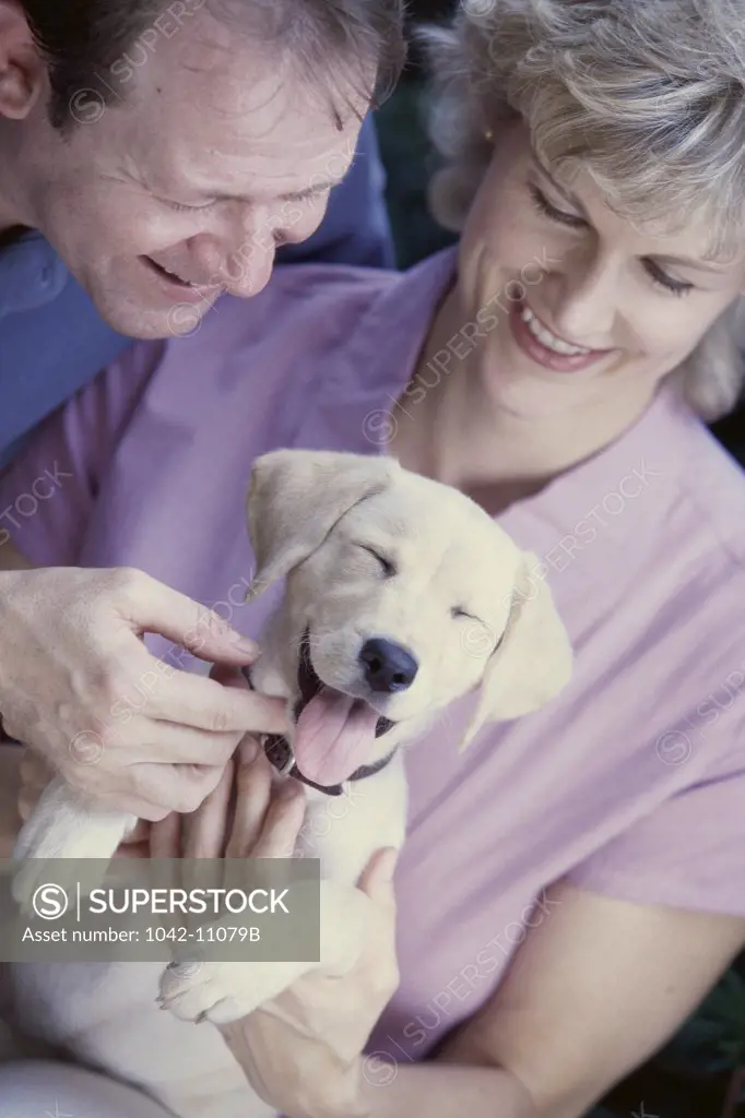Mid adult couple holding a dog