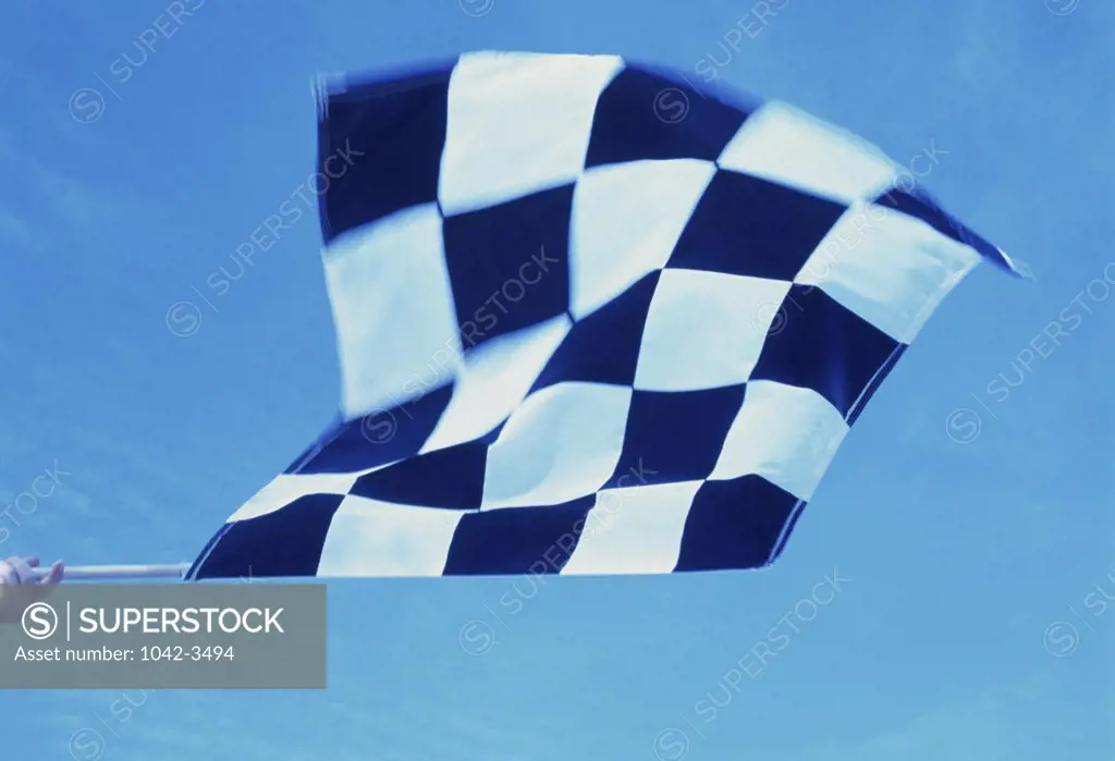 Person holding a checkered flag