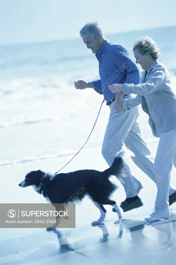 Senior couple walking with a dog on the beach