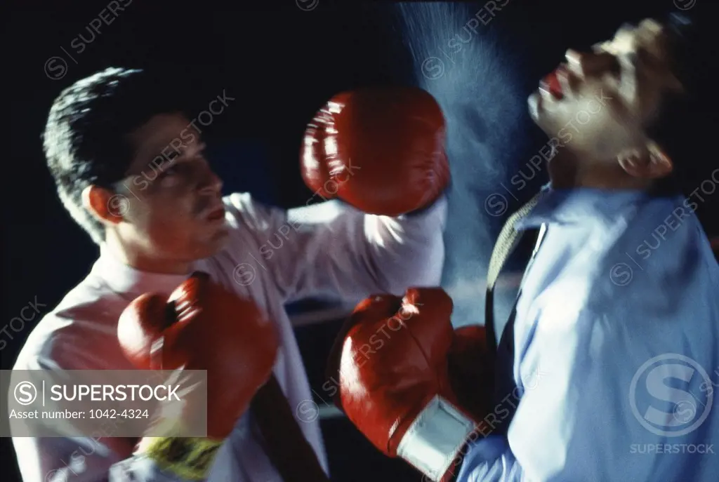Two businessmen boxing