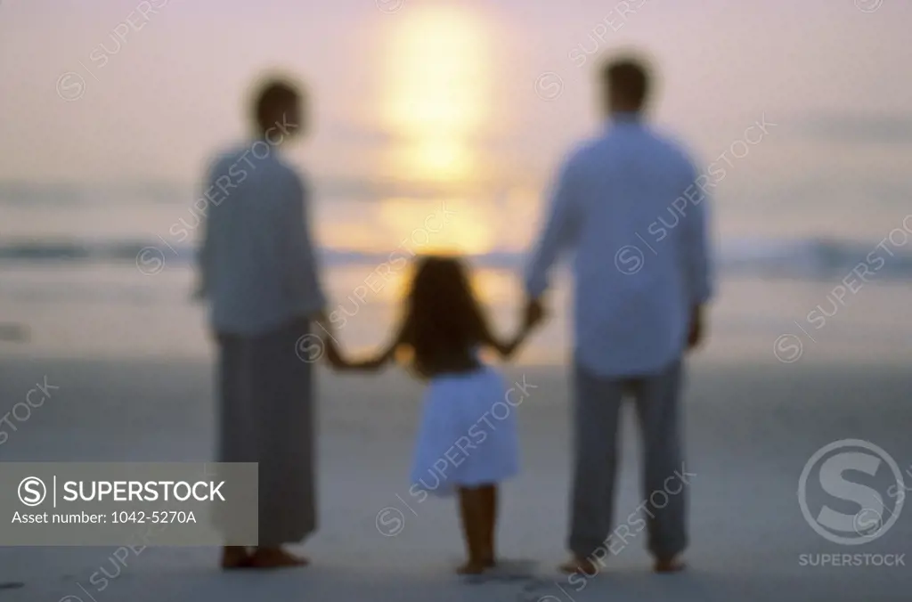 Rear view of a young couple on the beach with their daughter