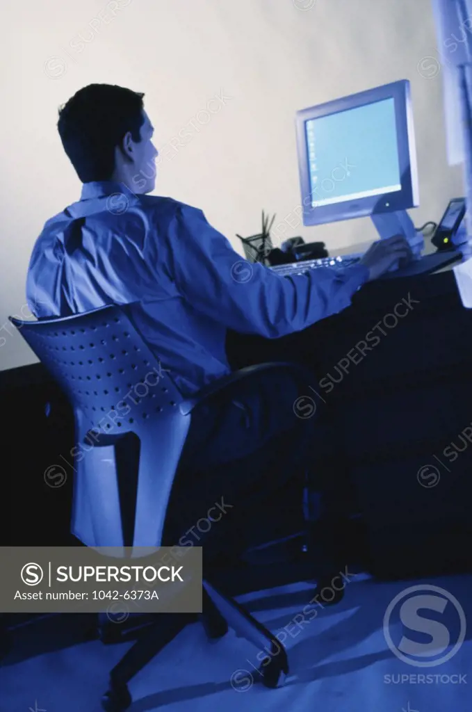 Rear view of a businessman using a computer