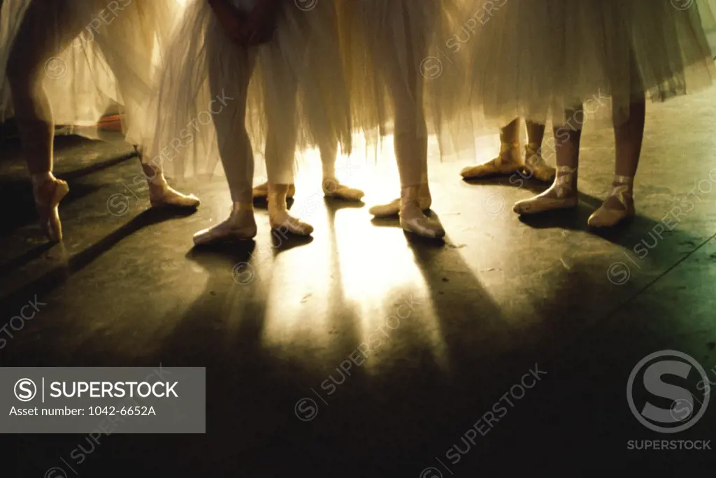 Low section view of ballerinas standing