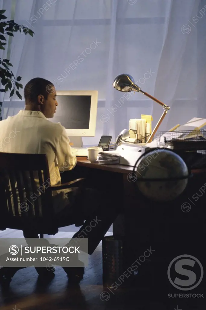 Rear view of a young man using a computer
