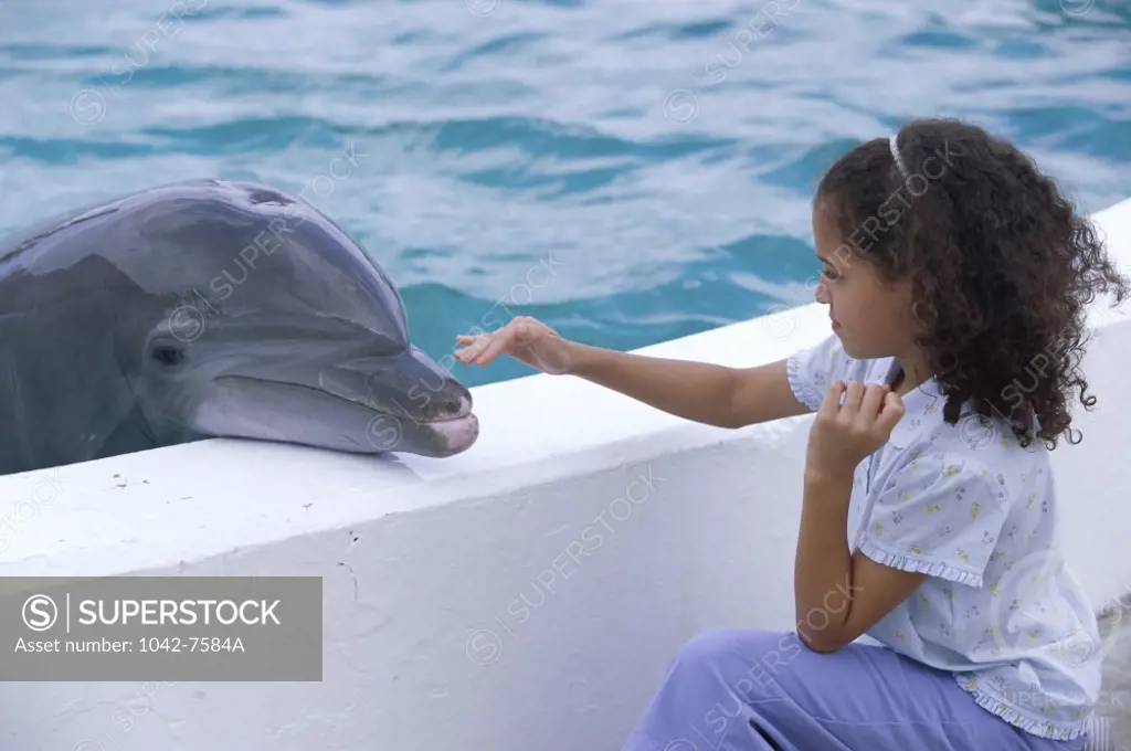 Side profile of a girl touching a dolphin
