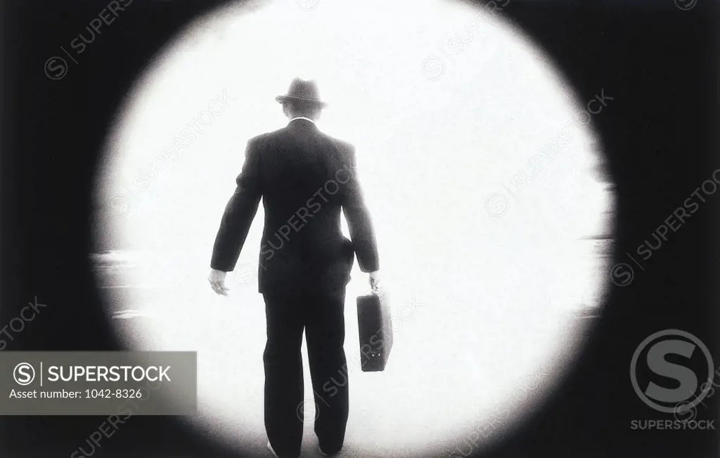 Rear view of a businessman standing with a briefcase