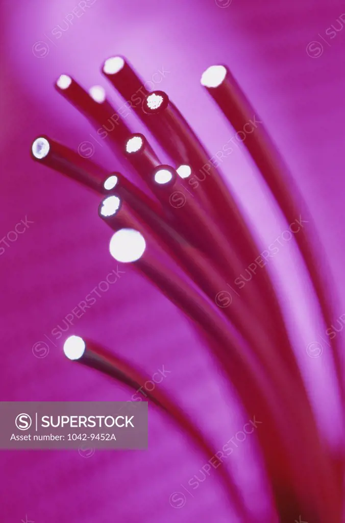 Close-up of fiber optics cables