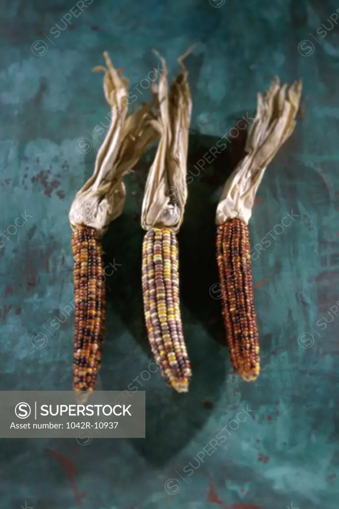 Close-up of Indian corn