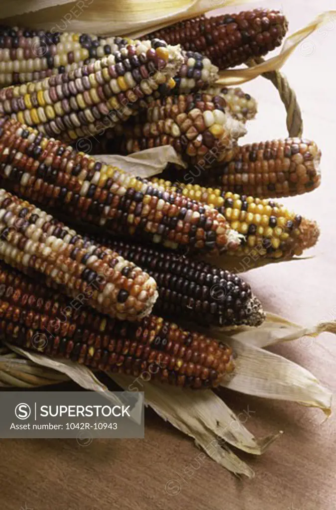 Close-up of dried Indian corn