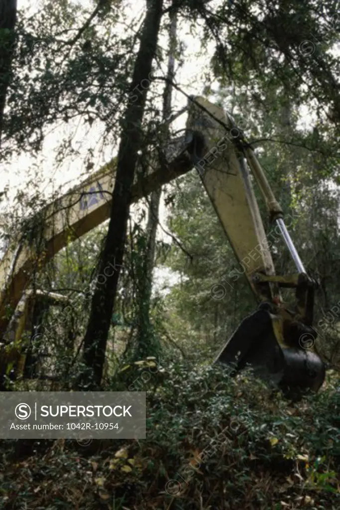 Heavy machinery in a forest