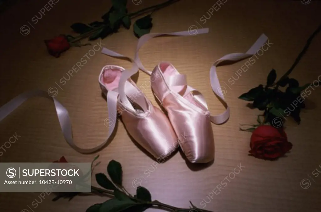 Pair of ballet slippers with three roses