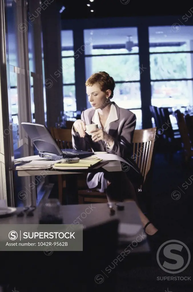 Businesswoman sitting in a restaurant in front of a laptop