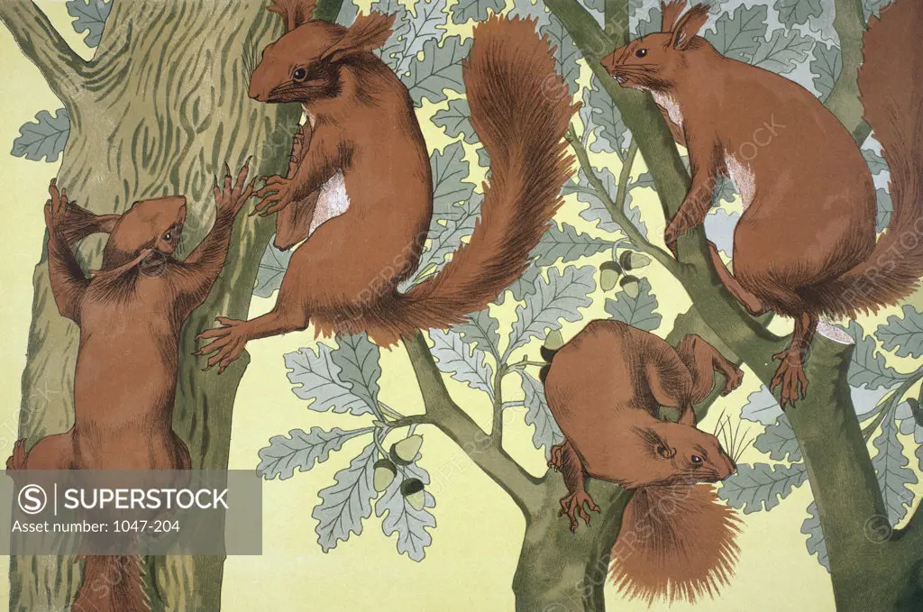 Squirrels by Maurice Pillard Verneuil, circa 1897