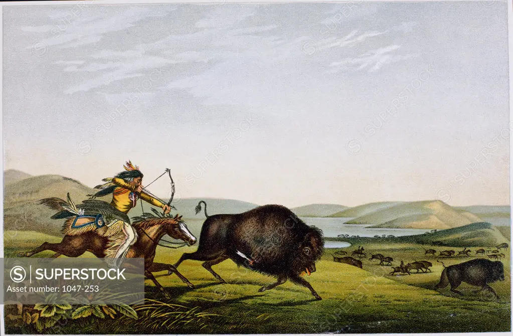 Native American Indian Hunting a Buffalo Artist Unknown