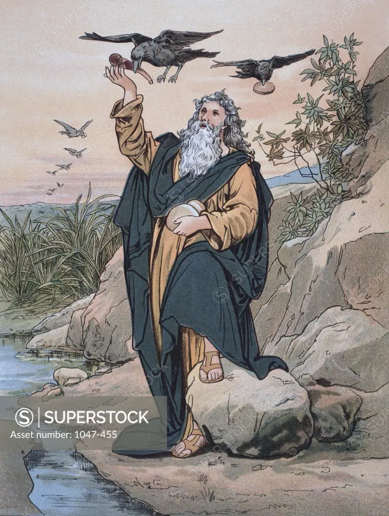 Prophet Elijah Fed by the Birds Illustration 