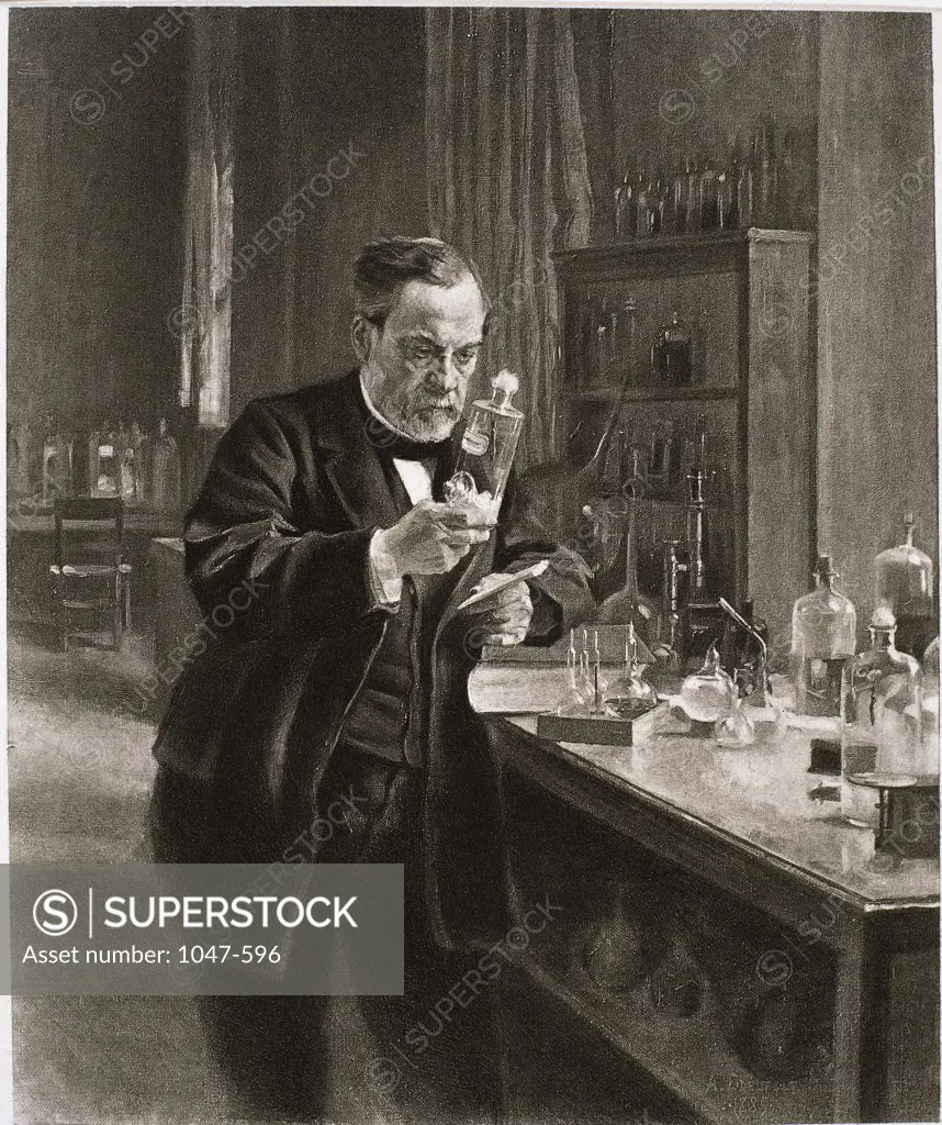 Louis Pasteur In His Laboratory Photogravure 