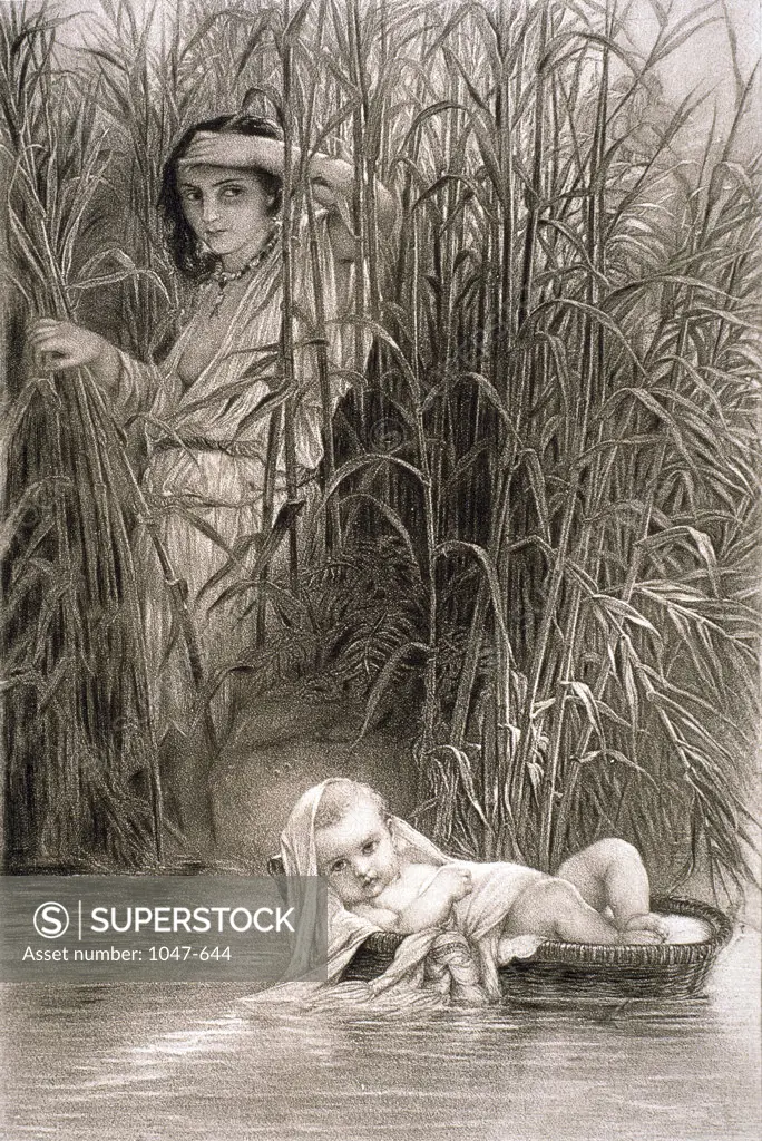 Finding of the Baby Moses in a Reed Basket Floating on the Nile Artist Unknown 