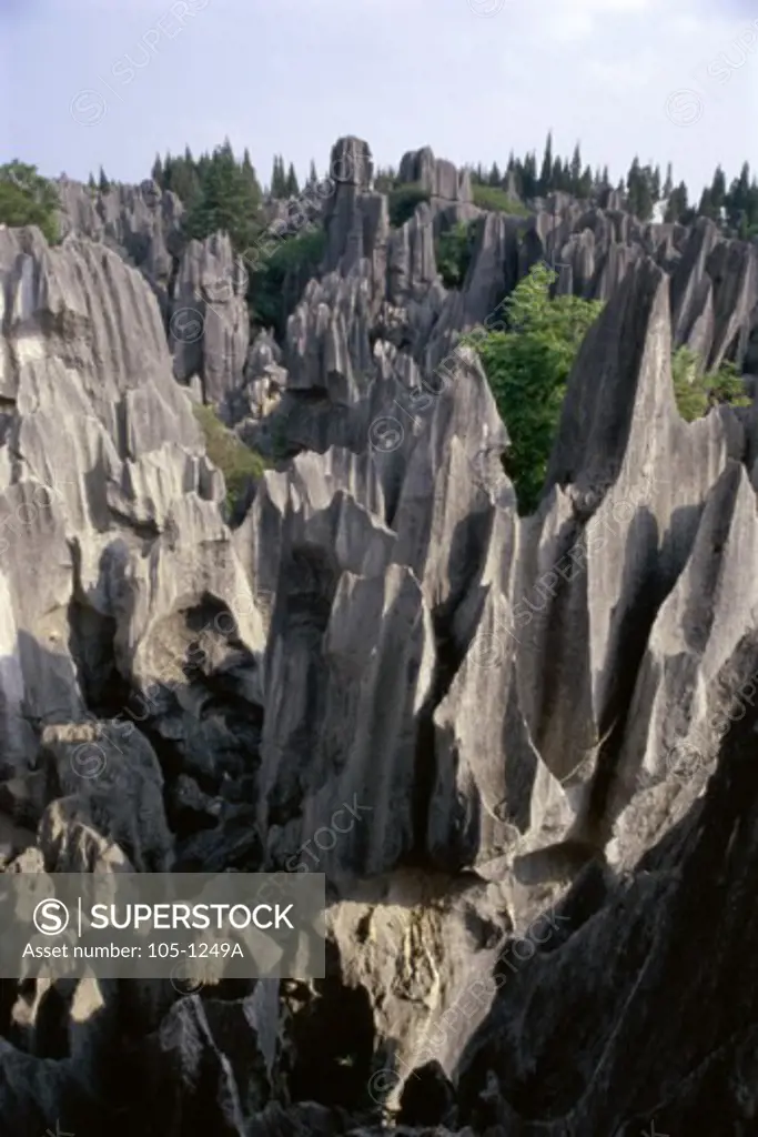 The Stone Forest  Yunnan Province  China