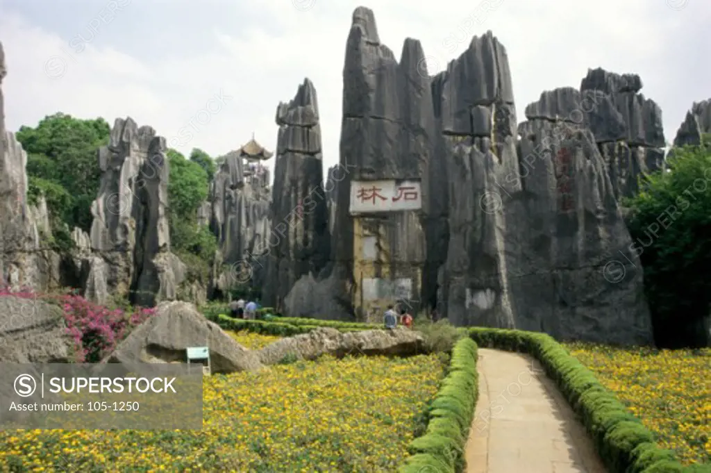 The Stone Forest  Yunnan Province  China