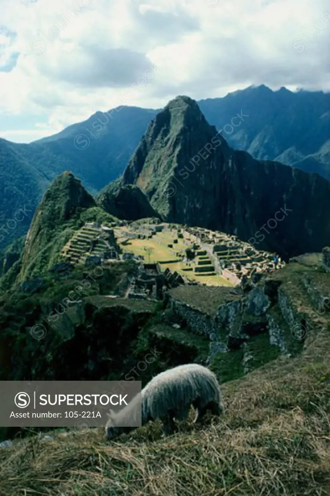 High angle view of old ruins of buildings, Machu Picchu (Incan), Peru