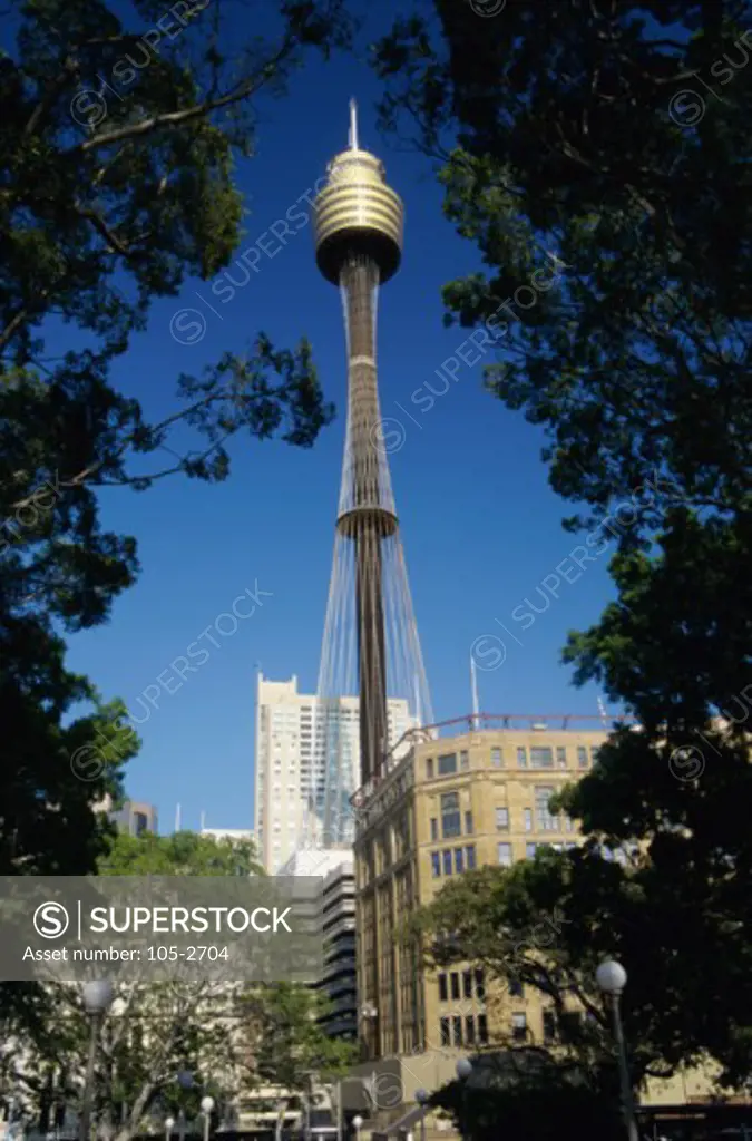 Sydney Tower Sydney Australia