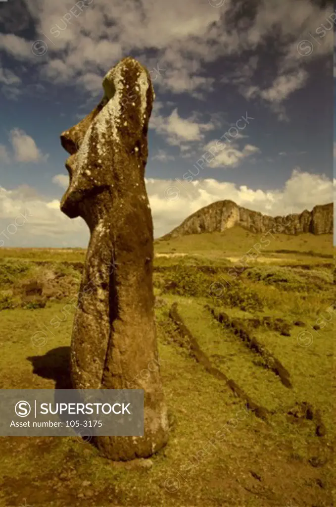 Close-up of a statue on a landscape, Moai Statue, Ahu Tongariki, Easter Island, Chile
