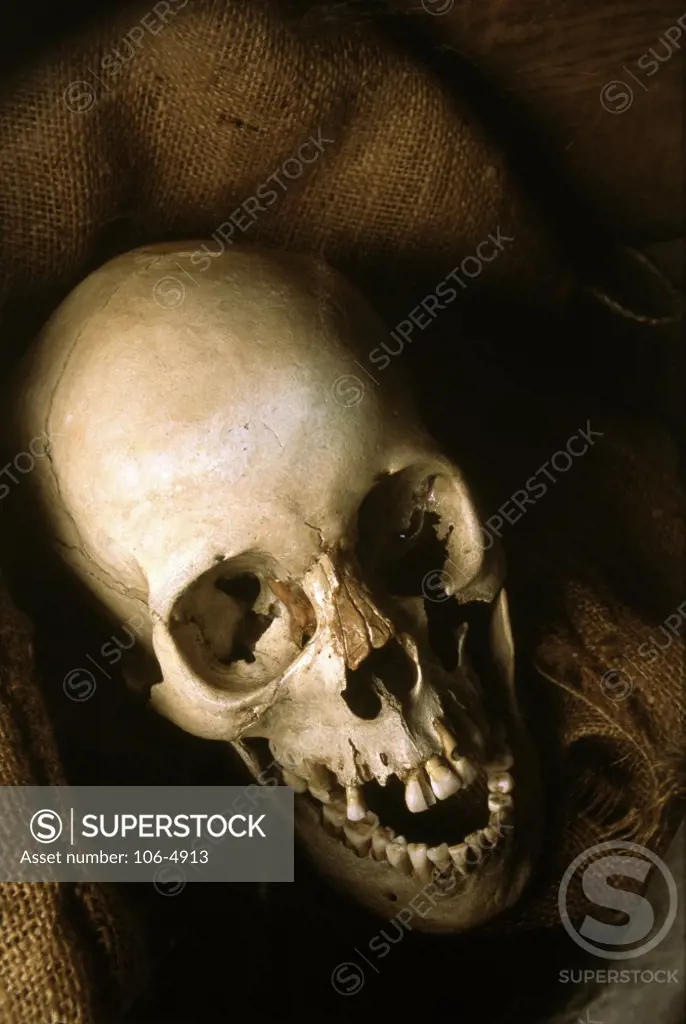 Close-up of a human skull on a sack