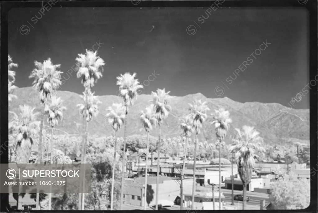 INFRARED VIEW OF MT. WILSON FROM ROOF OF PASADENA OFFICE BUILDING