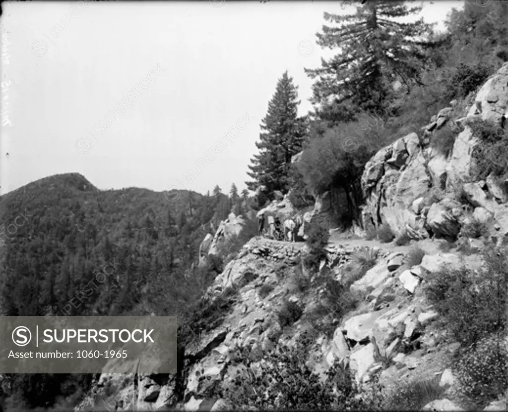 HORSE-DRAWN TRUCK ON SLOPE OF MT. HARVARD SHOWING PART OF TRAIL OF HORSESHOE BEND.