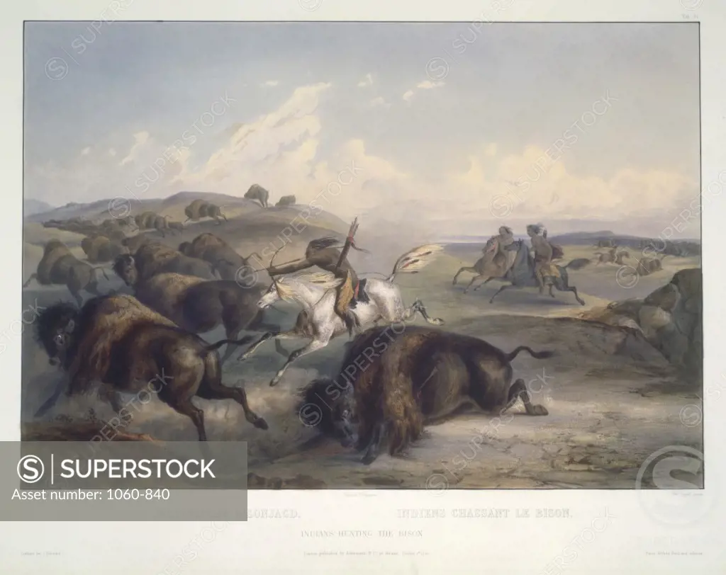 Indians Hunting the Bison  Illustration from Wied-Neuwied by Maximilian Alexander  1843  Karl Bodmer (1809-1893/Swiss)  The Huntington Library, Art Collections, & Botanical Gardens, San Marino, California     