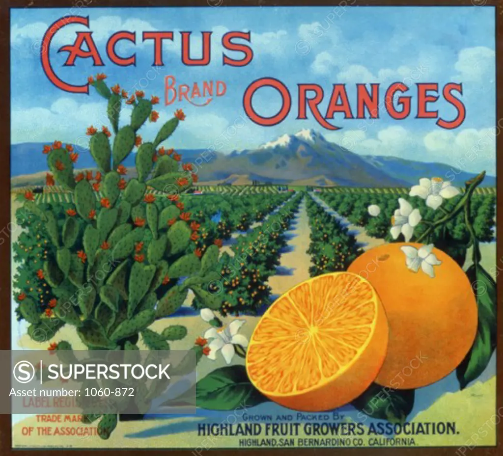 Cactus Brand Oranges-Highland Fruit Growers Association Promotional Literature  Posters The Huntington-San Marino, California 