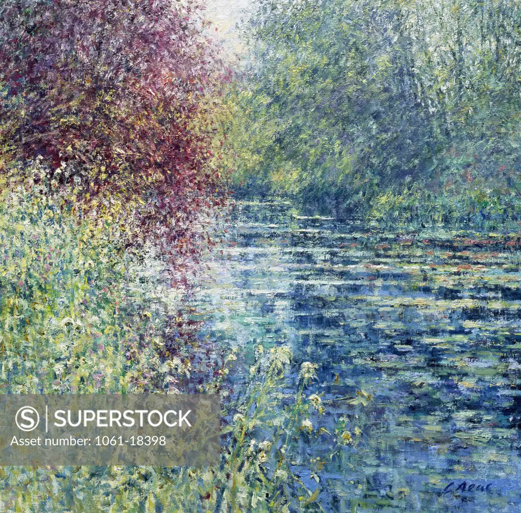 The Lily Pond, Summer, Byfleet Manor, Byfleet, Surrey. Morning June. Charles Neal (b.1951 British) Oil On Canvas